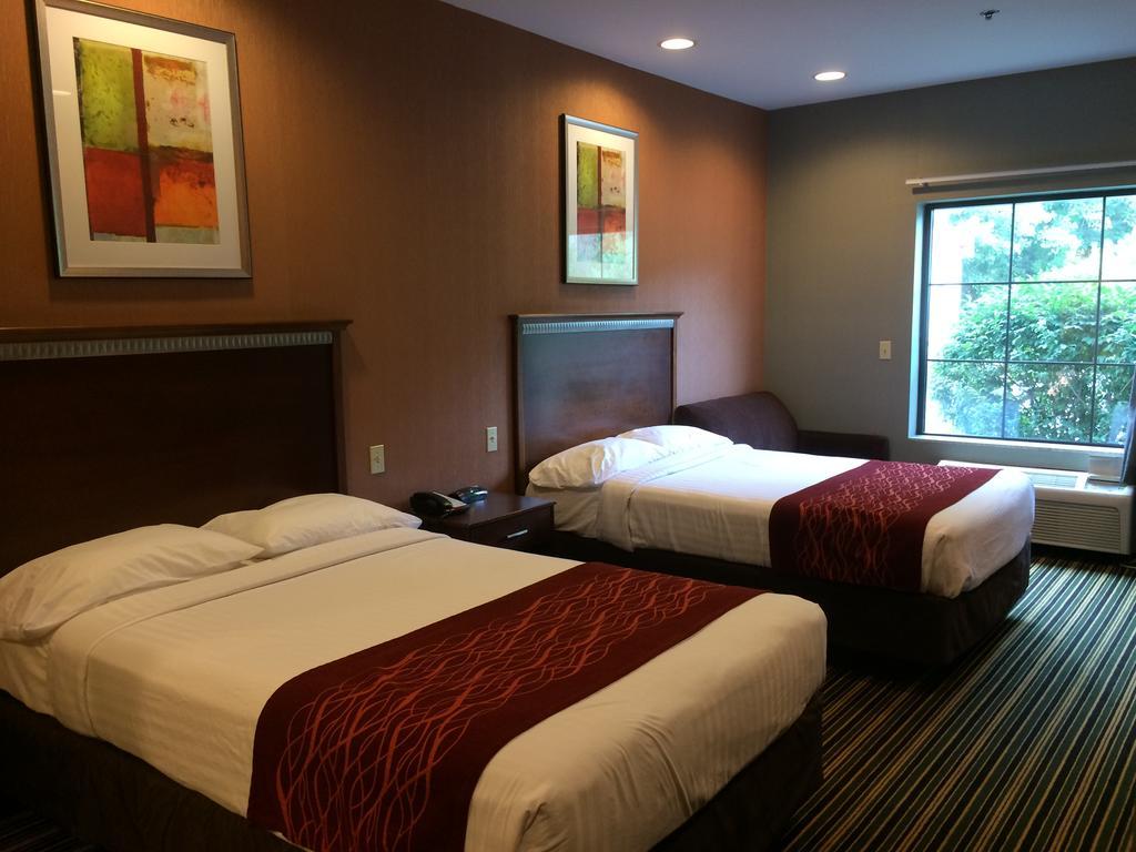 The Inn Monaca Ngoại thất bức ảnh